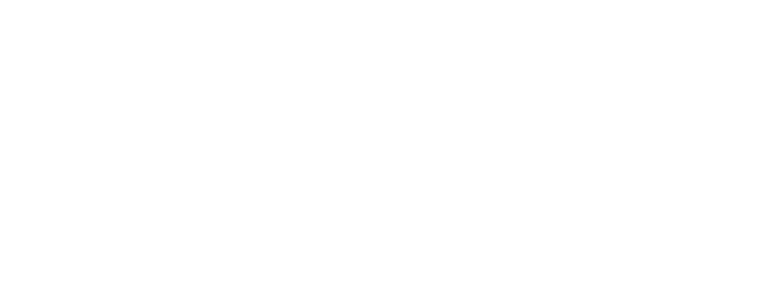 BraTee by Capital Bra